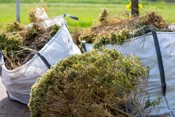Yard Cleanup Services in Pumpkin Center, NC